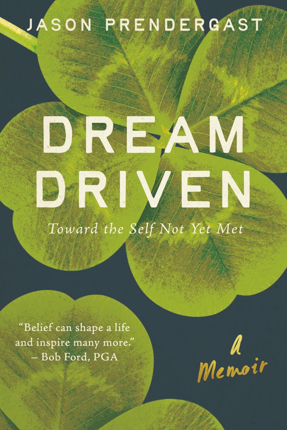 Dream Driven book cover illustrating resilience and motivation for readers seeking inspiration.