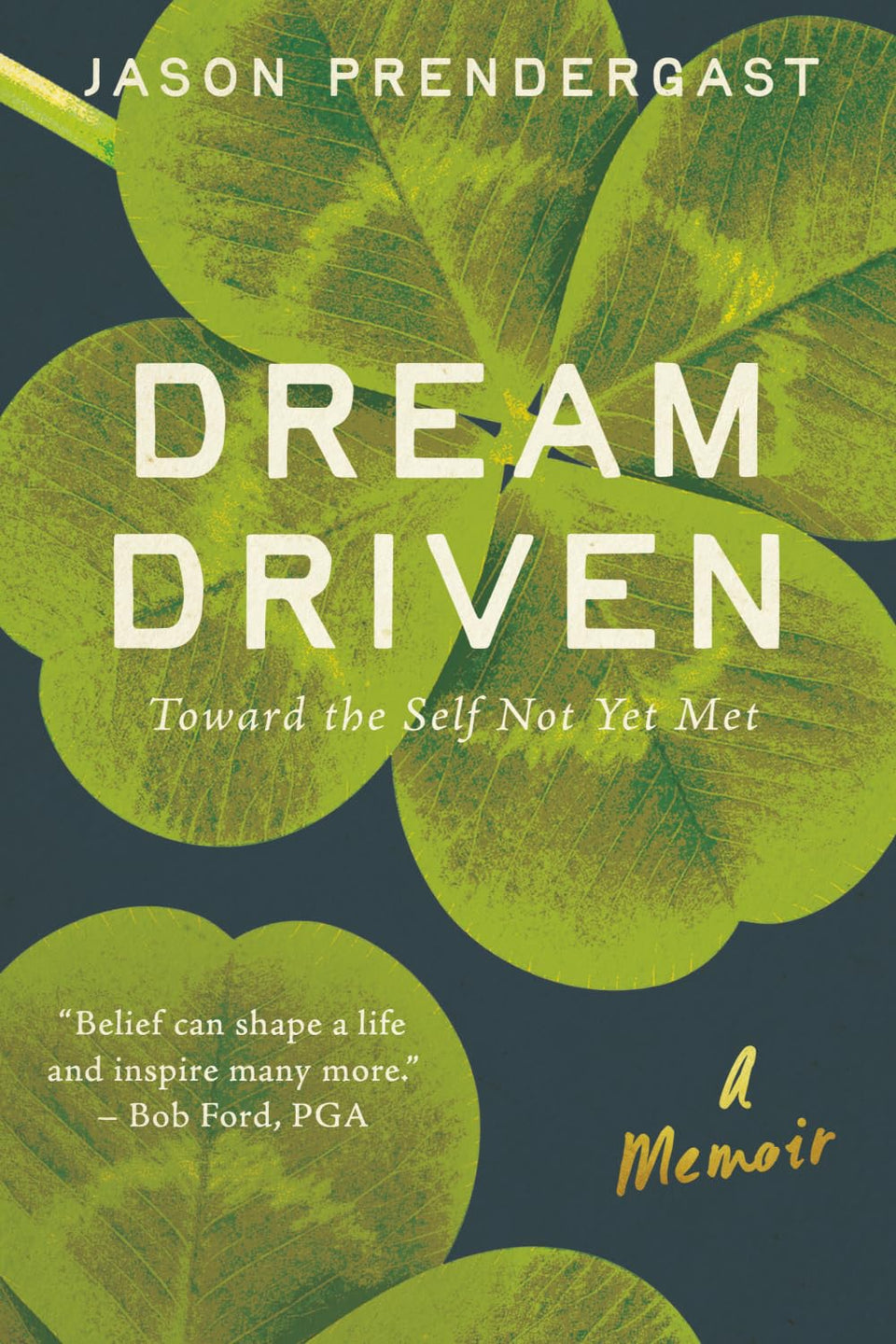 Dream Driven book cover illustrating resilience and motivation for readers seeking inspiration.