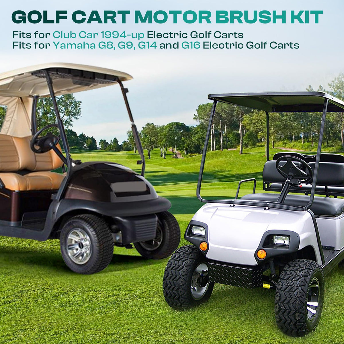 Drive Up motor brush close-up highlights fresh carbon brushes.