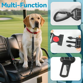 Converts to a handheld belt for versatile dog safety.