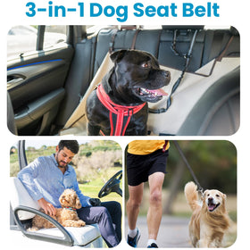 Durzerd dog travel safety solution enabling calm car rides.