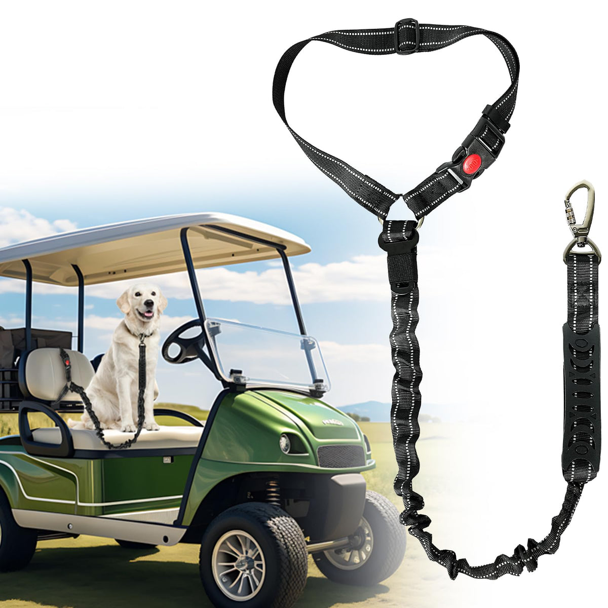 Durzerd doggie seat leash secured in a golf cart for safer rides.