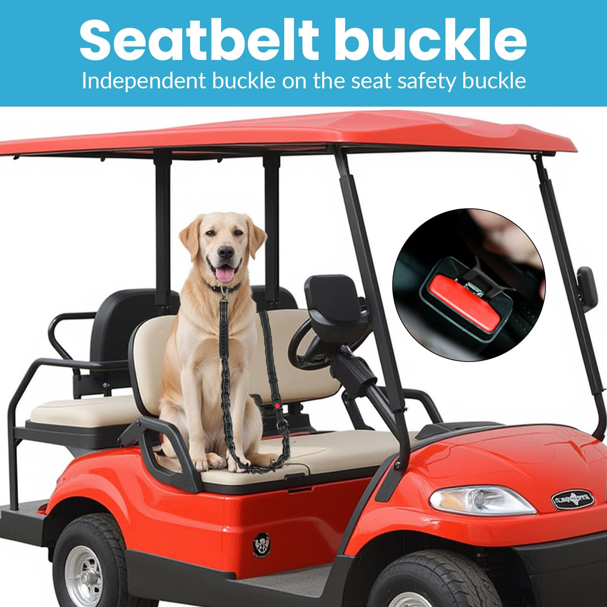 Soft fabric contact area reduces friction against your dog's skin.