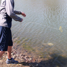 Dynamic Discs Golden Retriever retrieving from a water hazard