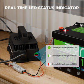 Dyness 36V charger LED status indicates charging state for easy monitoring
