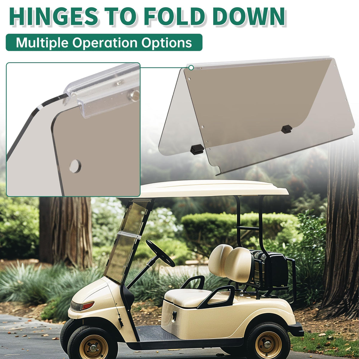 ECOTRIC polycarbonate construction resists yellowing for long-lasting clarity.
