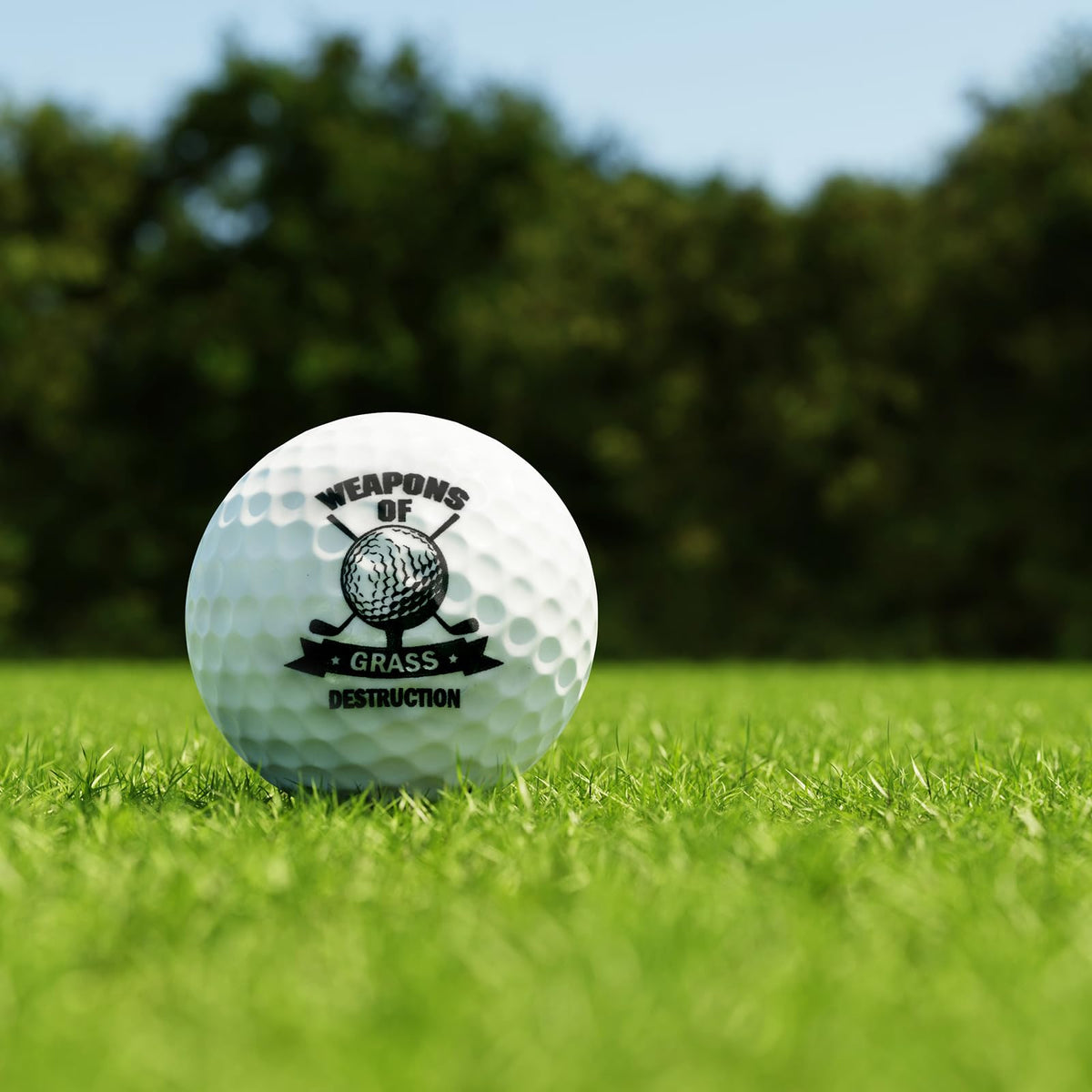 Fancy Land group gift set for sharing on the course