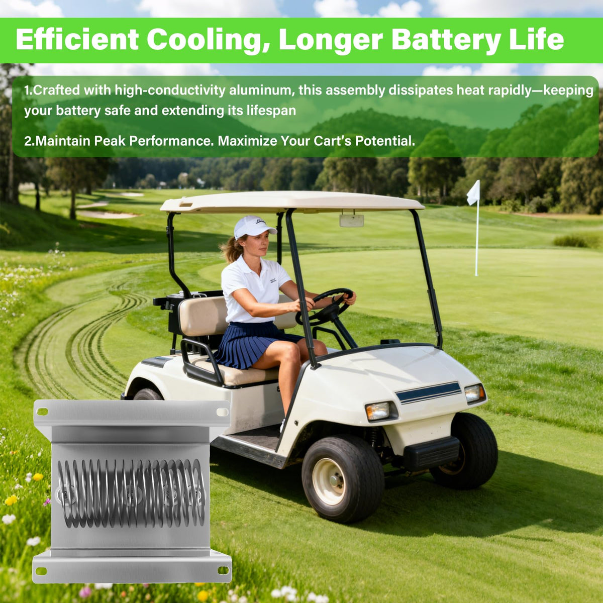 Femibon ezgo-marathon-compatible-carts compatibility map shows fit for models.