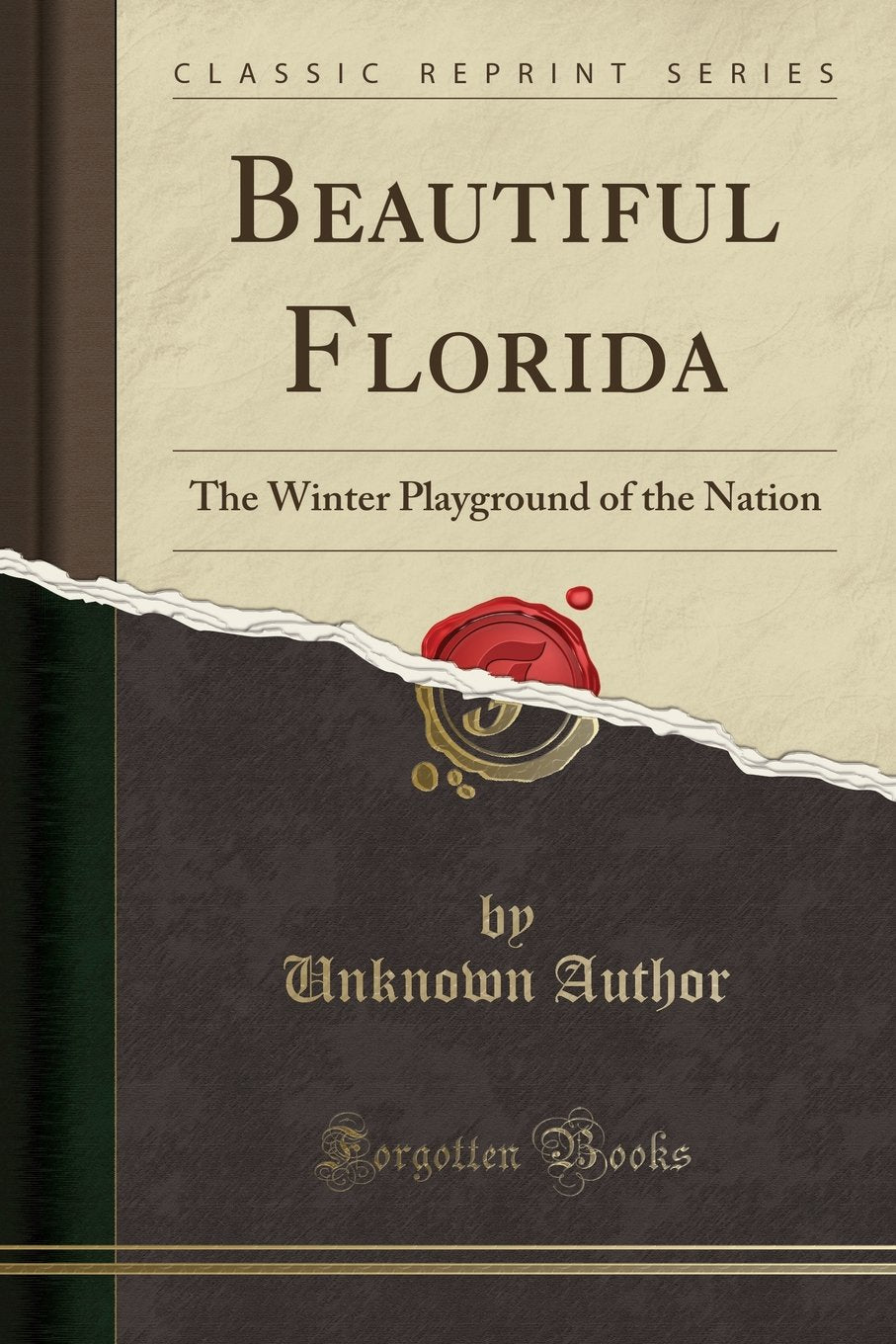 Forgotten Books Beautiful Florida cover invites a cozy reading escape