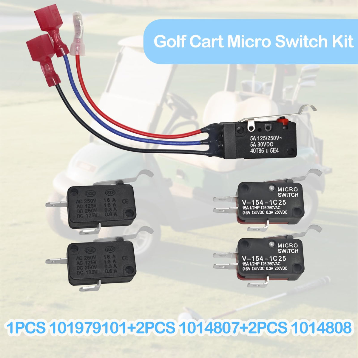 Formiden compatibility notes for Club Car DS/Precedent 1980–2025.