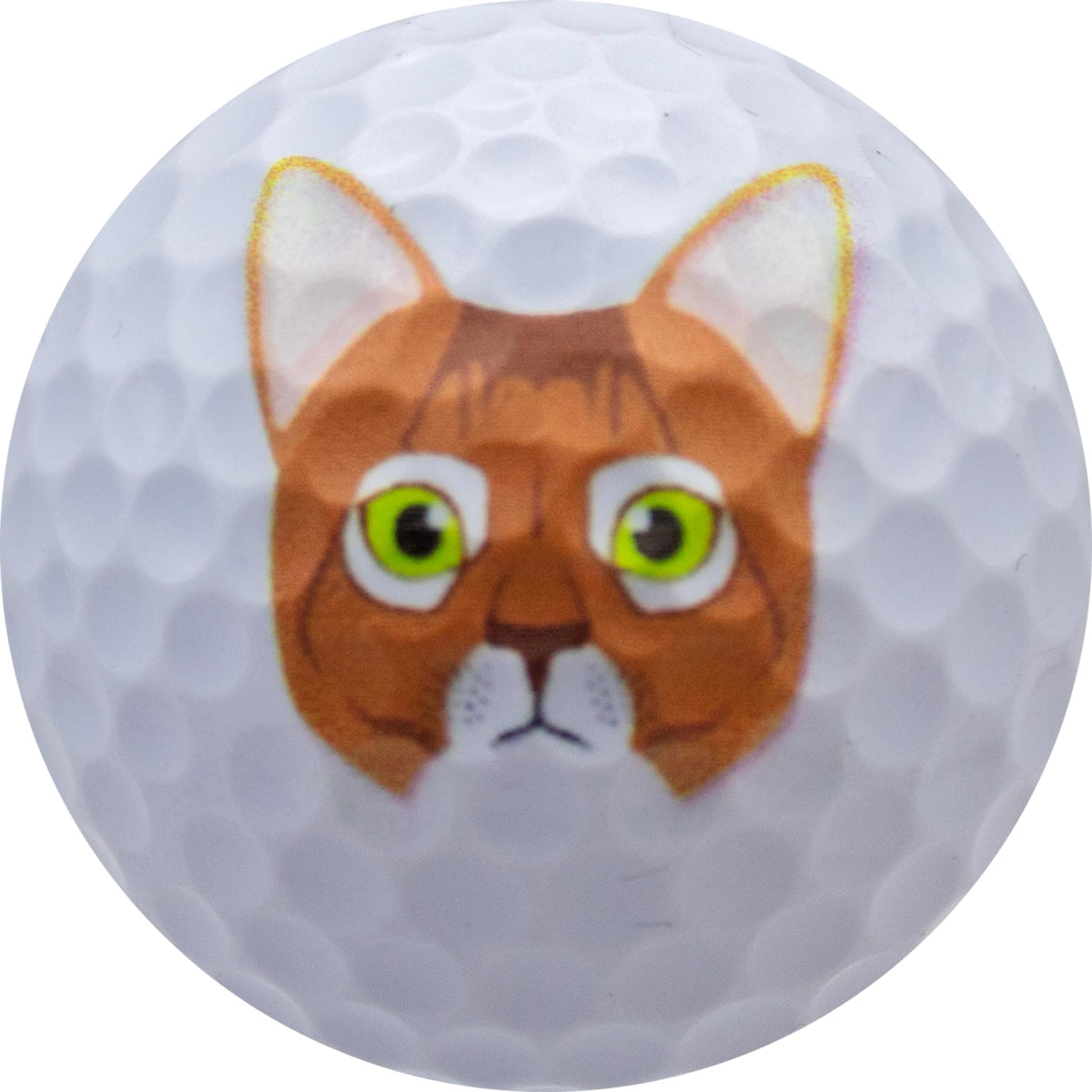 Easily spotted GBM Cat Lover ball on the fairway with bold cat art