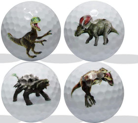 GBM novelty balls with dinosaur imprints – add personality to your game.