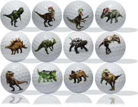 GBM Dinosaur golf balls in clear packaging, great for gifts and tournament giveaways.