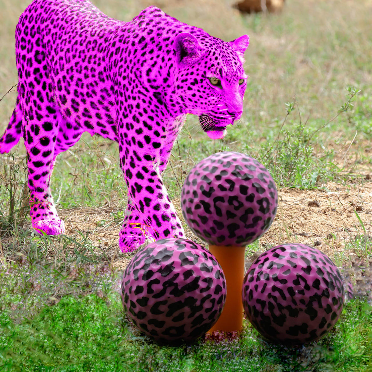 GBM Pink Leopard ball pack of 12 ready for gifting and events
