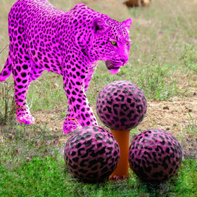 GBM Pink Leopard ball pack of 12 ready for gifting and events