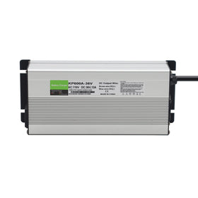 Generic automatic charger floats after charging for extended battery life.
