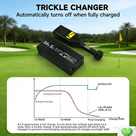 Generic compact 36V charger design for portable use.