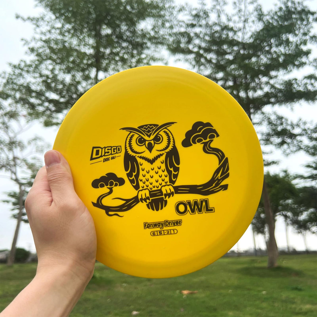 Generic DISGO Disc Set beginner-friendly round setup for first games.