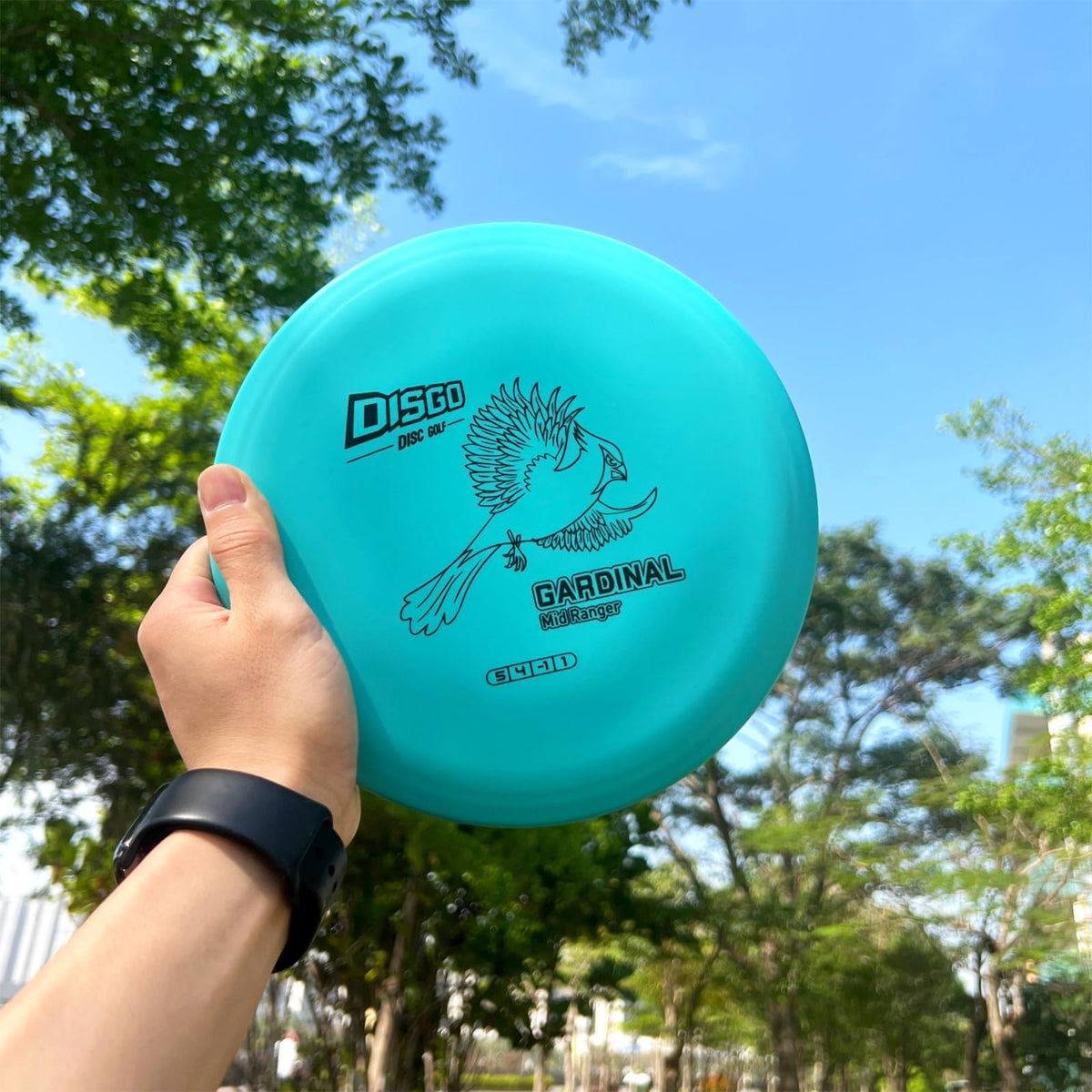 Generic DISGO Disc Set stamp color may vary; collectible visuals.