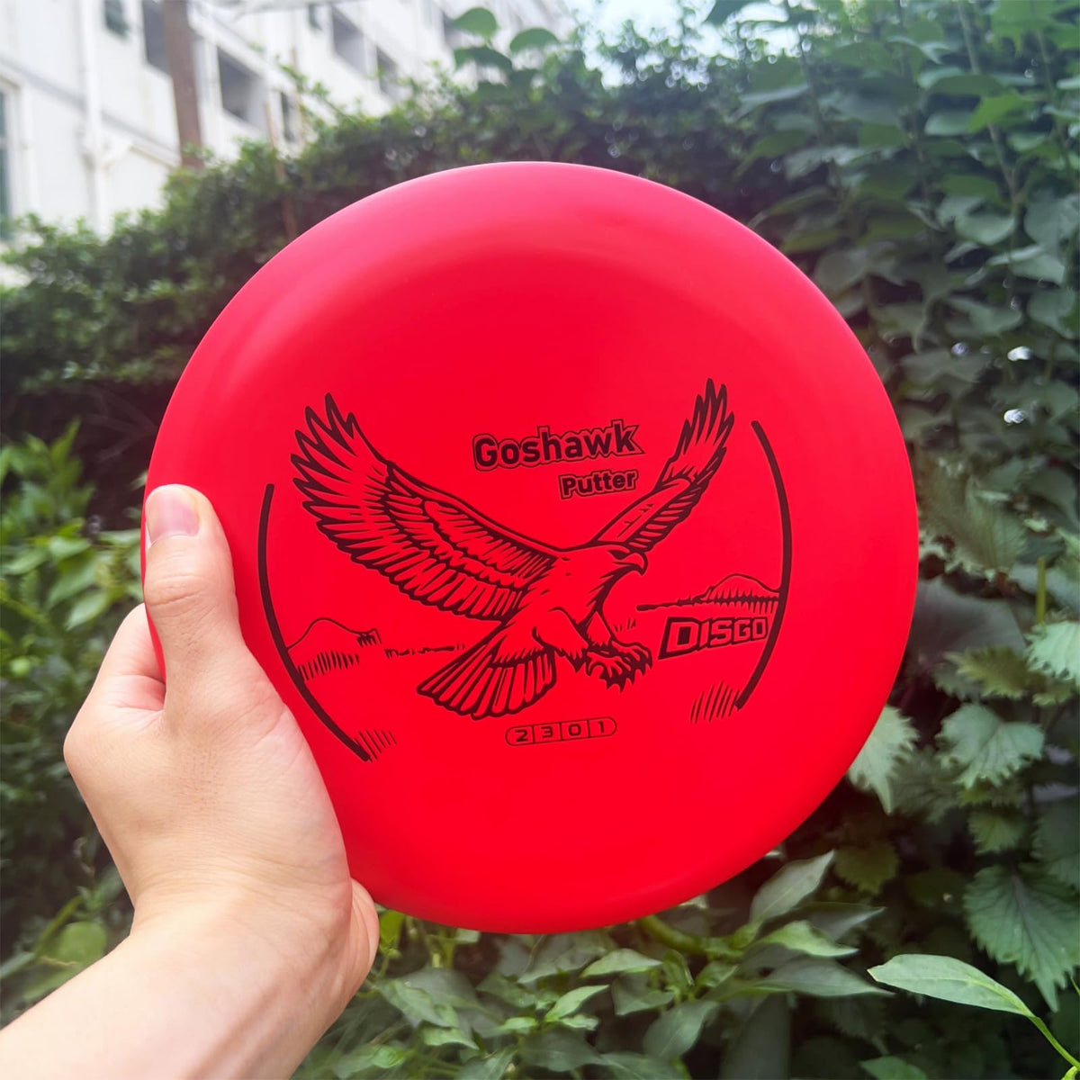 Generic DISGO Disc Set PDGA-approved starter kit for new players.