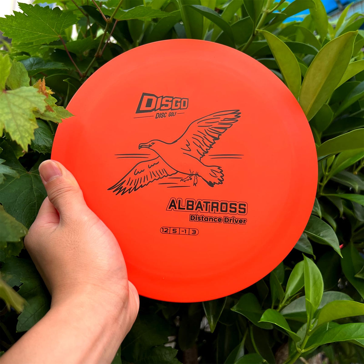 Generic DISGO goshawk putter floating for accurate short game near water.