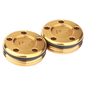 Generic gold golf weights compatibility list—accurate setup for Titleist Scotty Cameron.