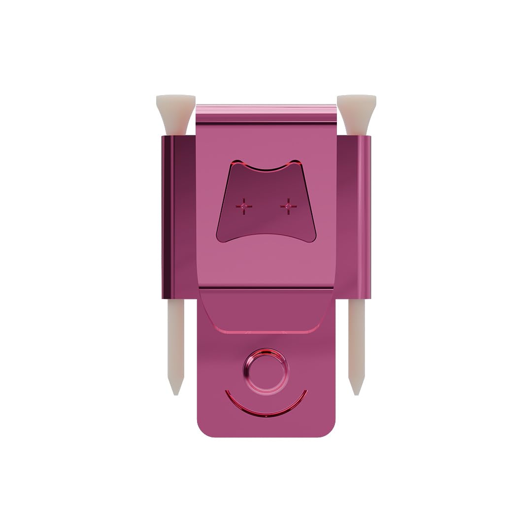 Generic Iron Scrub Pro tee holder keeps tees within easy reach