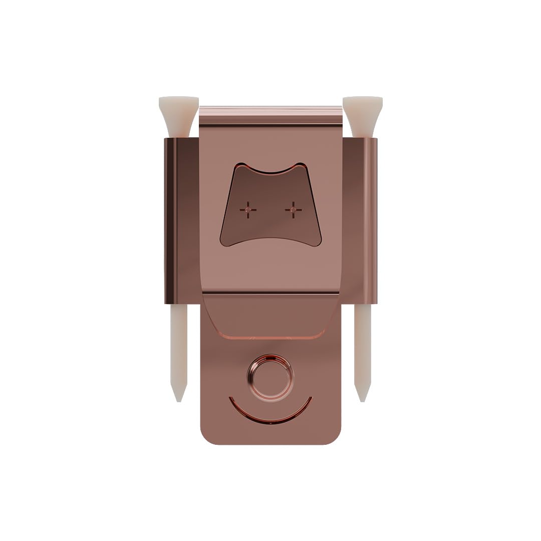 Generic Iron Scrub Pro tee holder keeps tees within easy reach