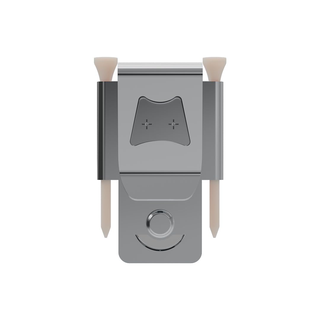 Generic Iron Scrub Pro tee holder keeps tees within easy reach.