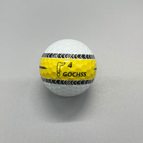 GOCHSS dupont Lizi resin middle layer for energy transfer