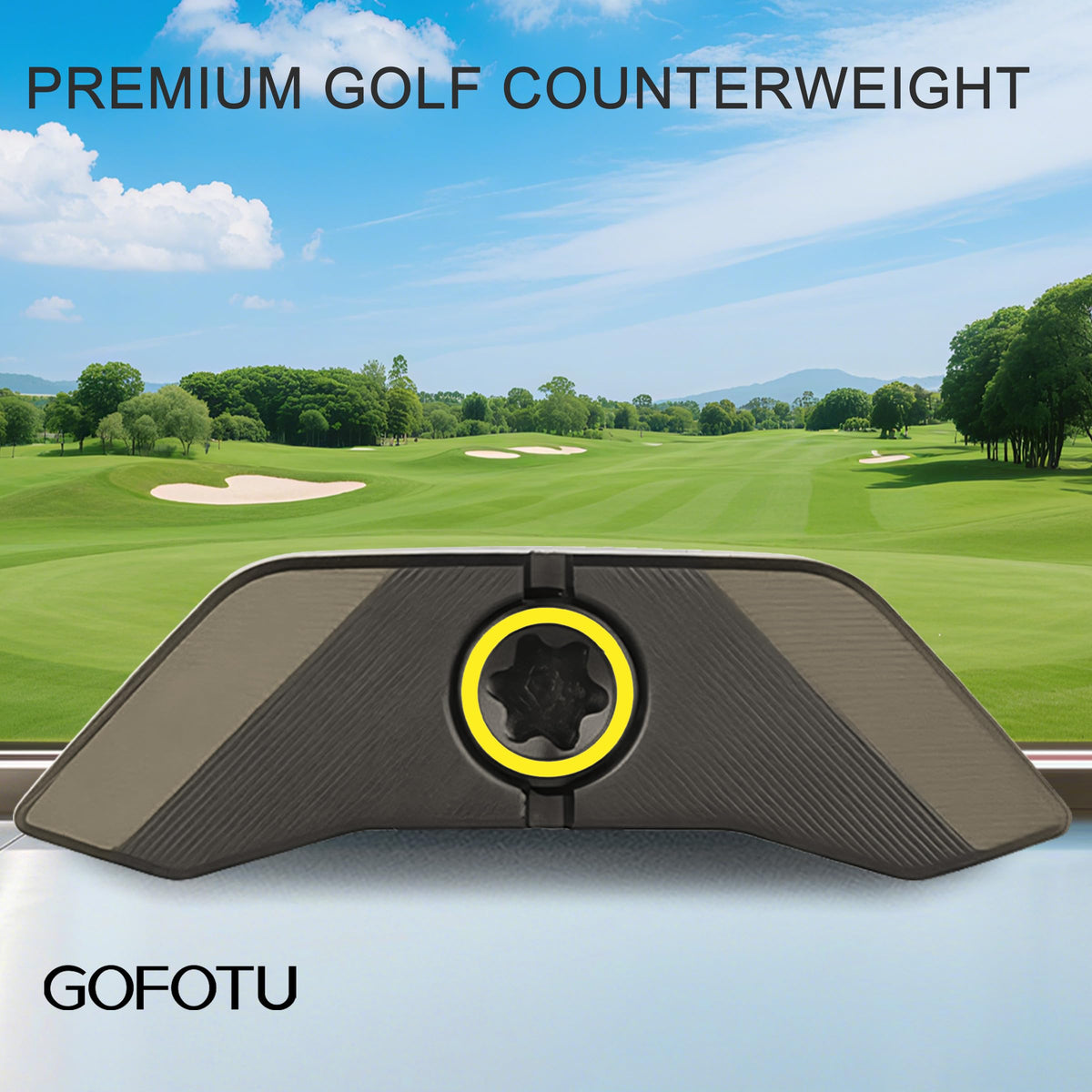 Gofotu weight kit demonstrates TSR2/TSR4 compatibility for balance tuning.