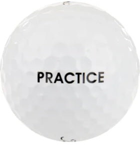Golf Ball Monkey cleaned Pro V1 balls ideal for casual rounds.
