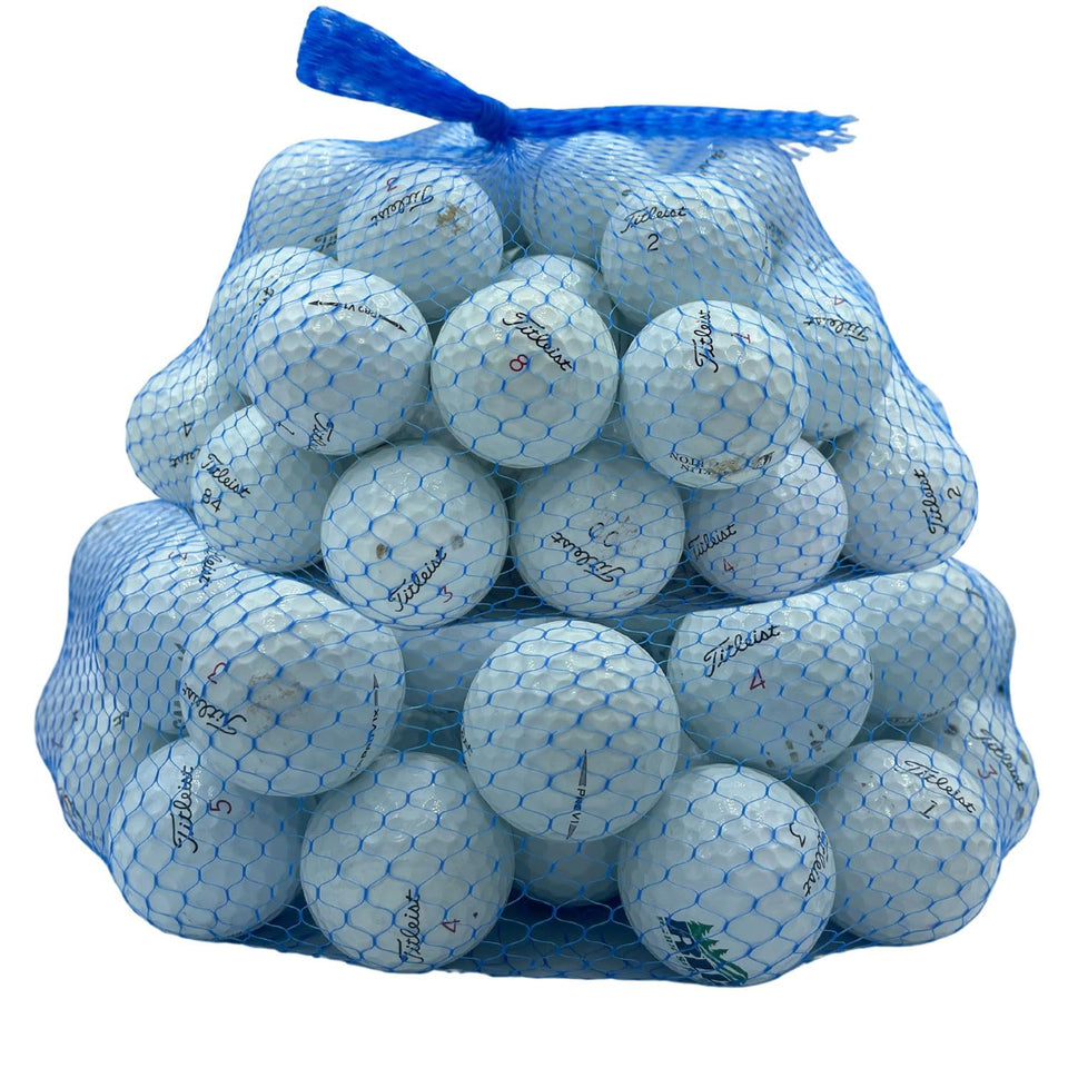 Golf Ball Planet Pro V1/V1x 100-pack used balls with mixed years.