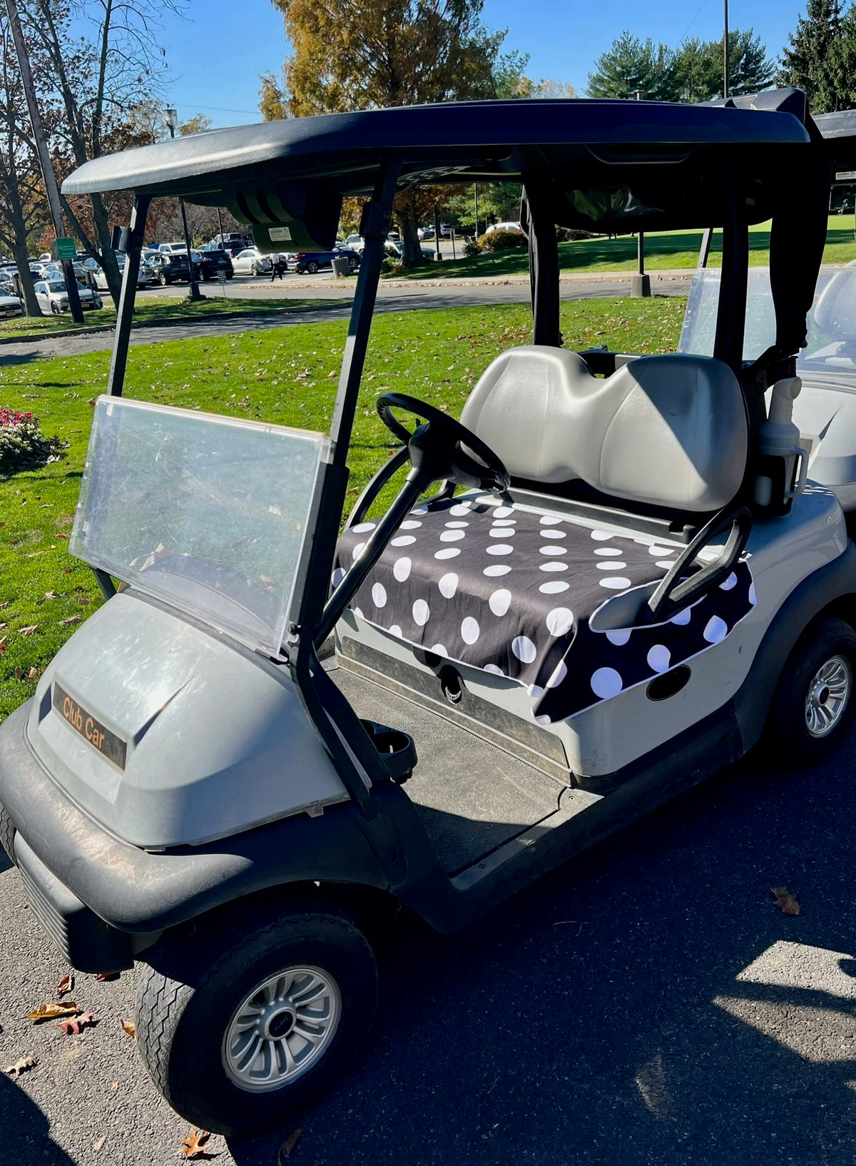Golf Cart Essentials reversible seat cover with two designs for versatile styling.