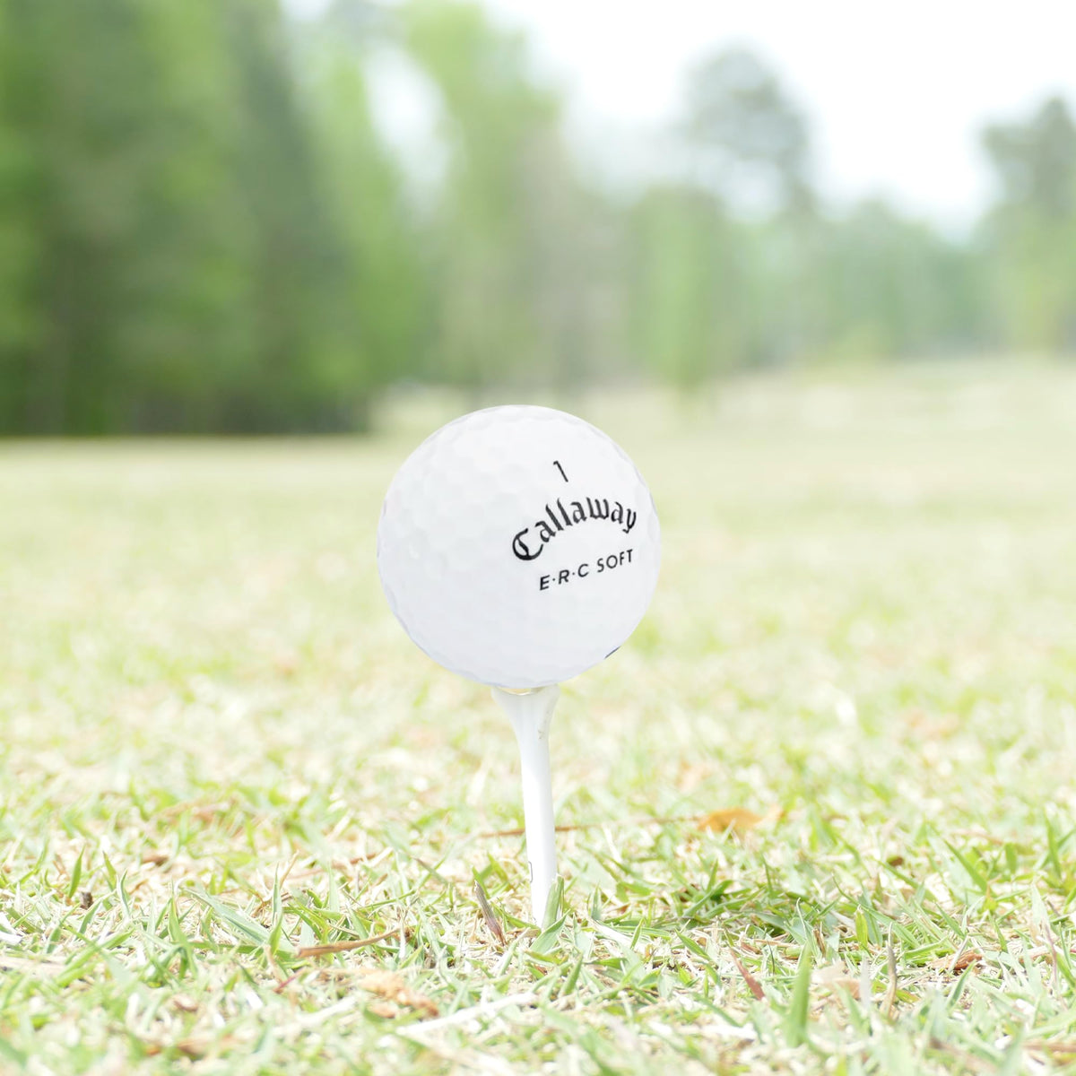 GolfBall Nut mesh bag included for easy transport on the course.