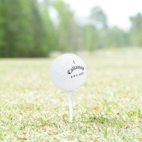 GolfBall Nut mesh bag included for easy transport on the course.