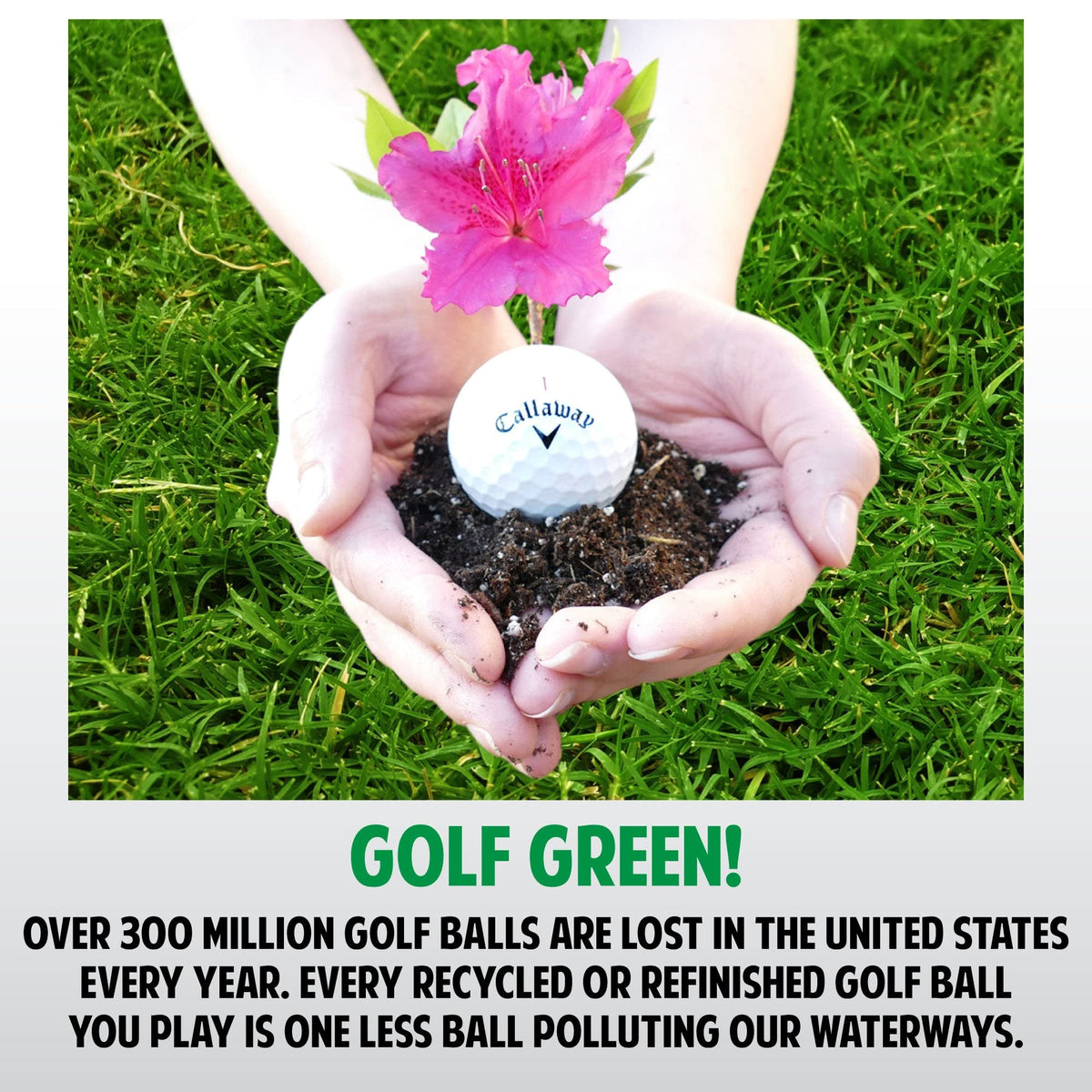 GolfBall Nut eco-friendly materials support sustainable golf gear.