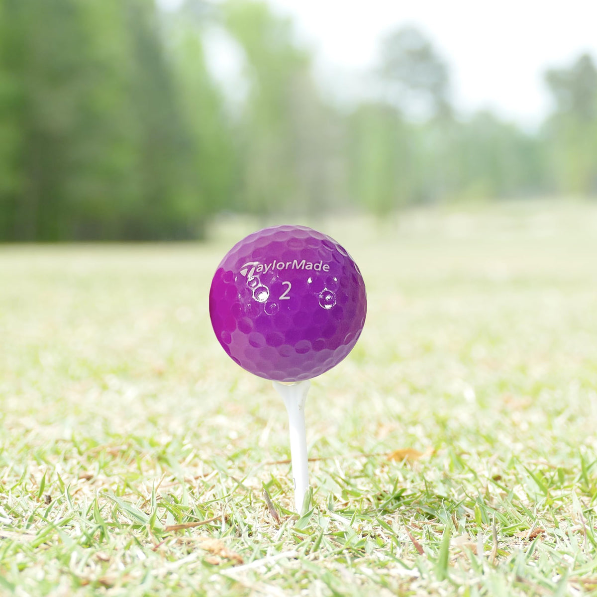 GolfBall Nut ideal for practice and casual play sessions