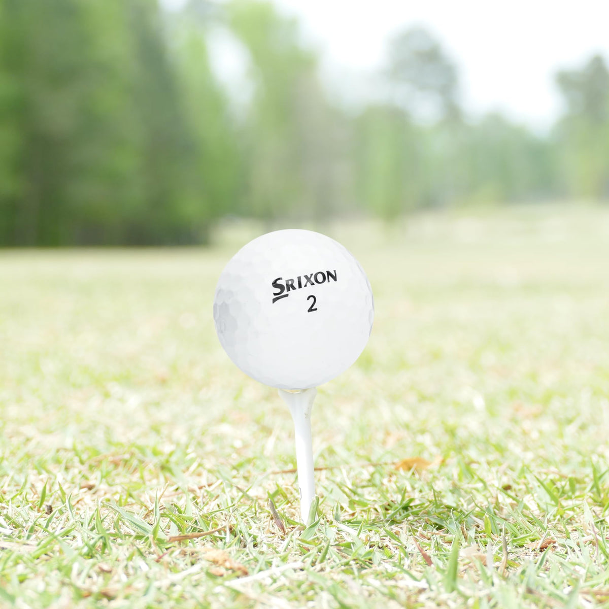 GolfBall Nut practice-ready balls ideal for driving range sessions.