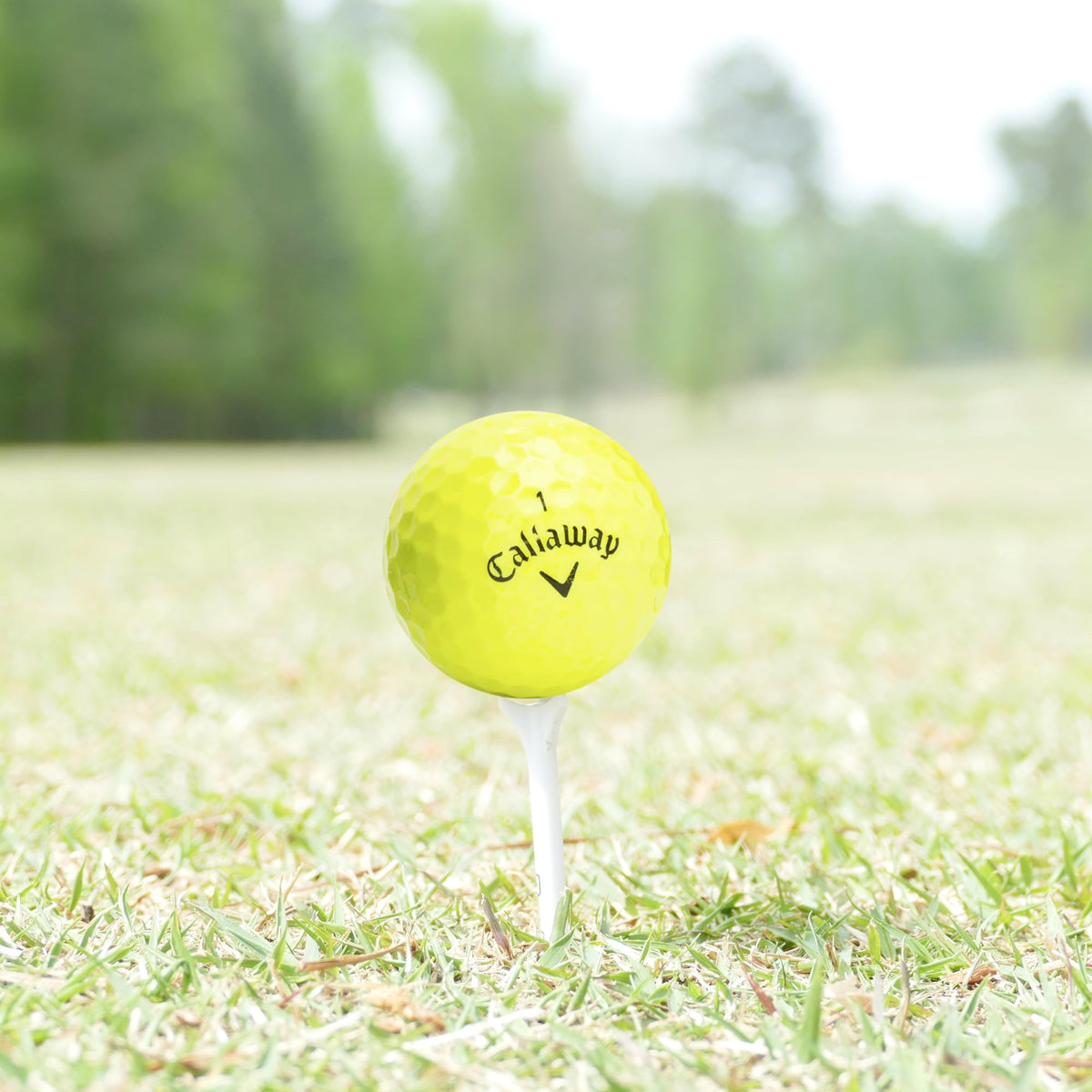GolfBall Nut sustainable savings through recycled bulk golf balls