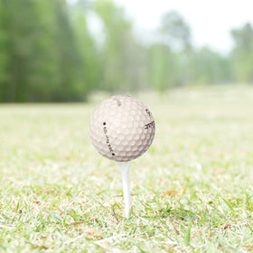 GolfBall Nut water hazard practice helps simulate real-shot scenarios on the course.