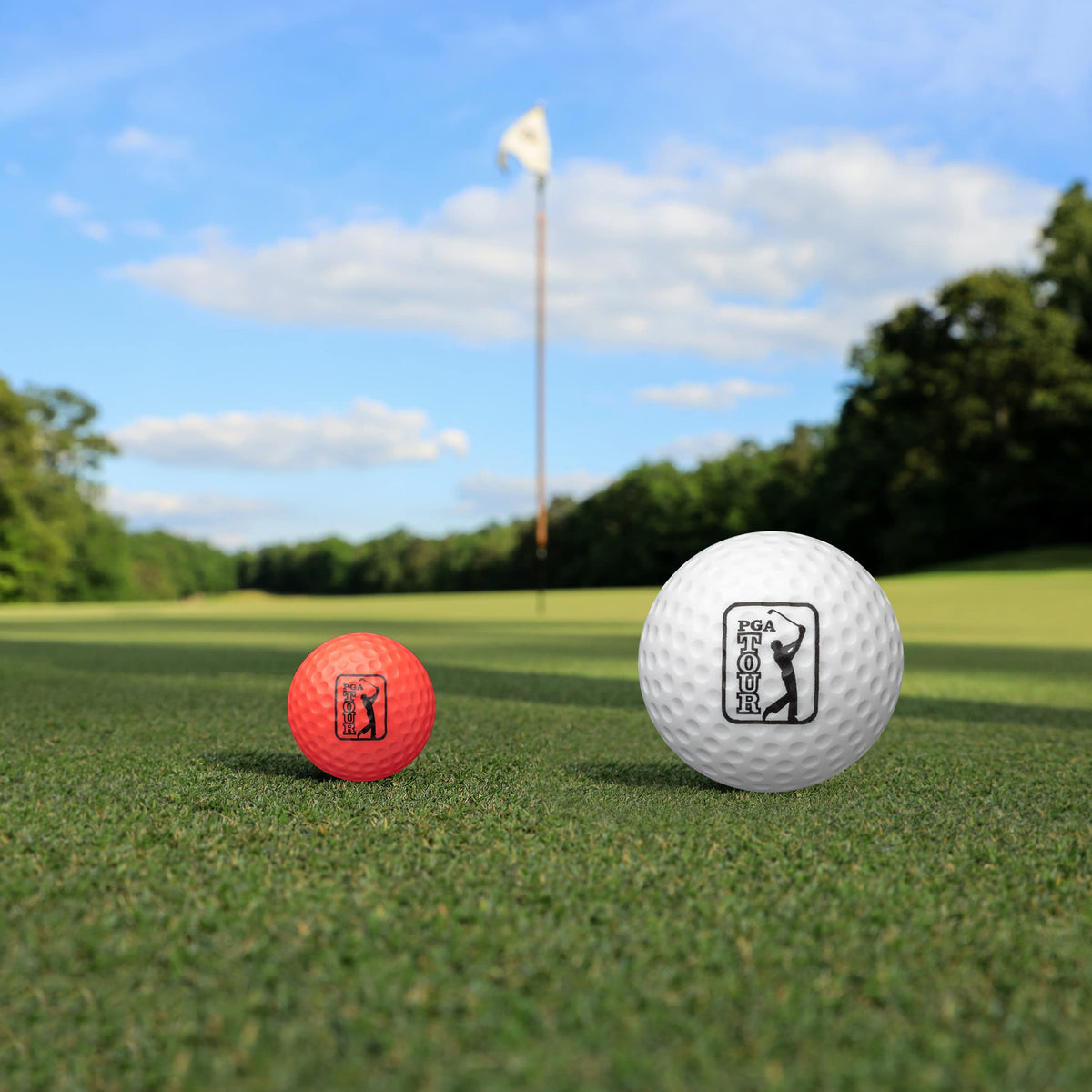 Golfgen PGA Tour foam ball case; easy organization for practice sessions