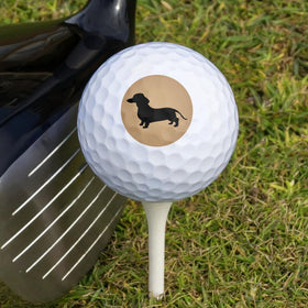 GRAPHICS & MORE dachshund design ball ideal as a gift and for practice.
