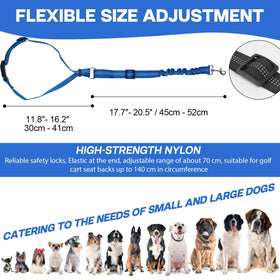Hezaosth adjustable buckle provides snug fit for dogs of different sizes.