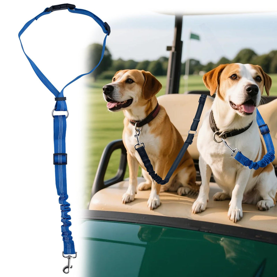 Hezaosth dog seat belt tether on a golf cart keeping your pup secure during rides.