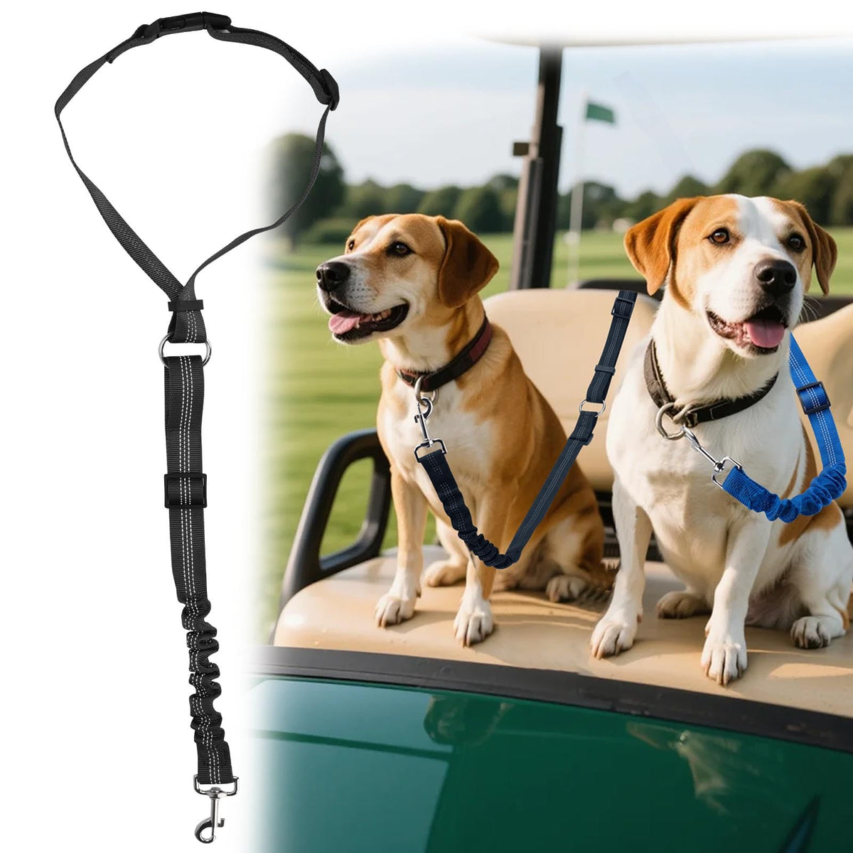 Hezaosth dog seat belt tether for golf cart keeps your pet secure and comfortable