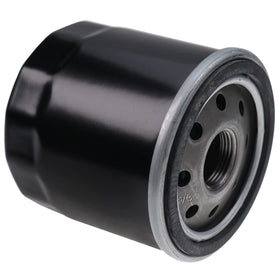 Holdia Tune Up Kit fuel filter supports clean fuel delivery