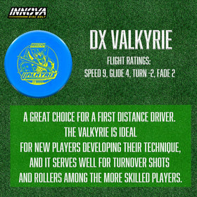 Innova Mako3 midrange from the set for straight flights toward the basket.