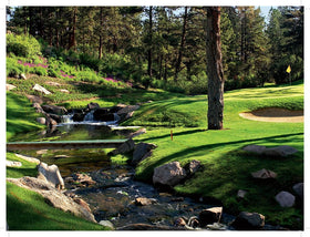 Intermedia Publishing Services Haymaker hole image sparking alpine round excitement