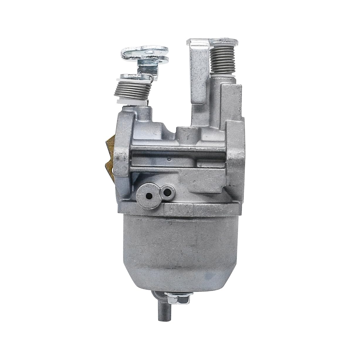 Lanigram carburetor-kit-contents-with-fuel-pump, includes essential parts for upgrade.